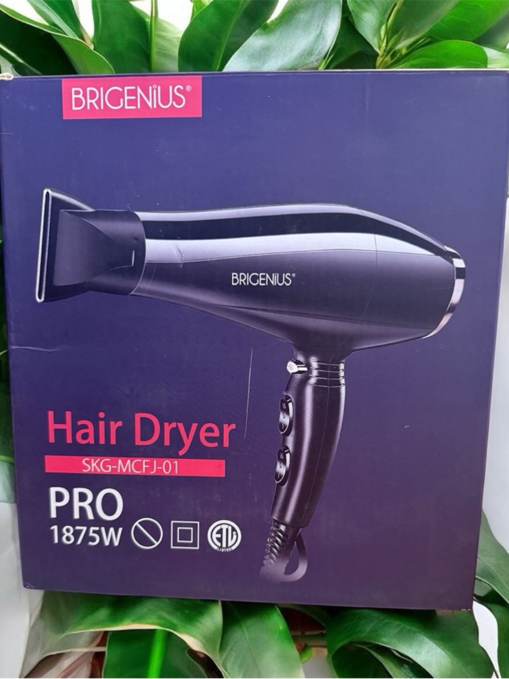Black Hair Dryer - 1875W Professional with a diffuser and concentrator nozzle